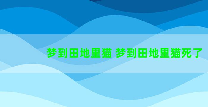 梦到田地里猫 梦到田地里猫死了